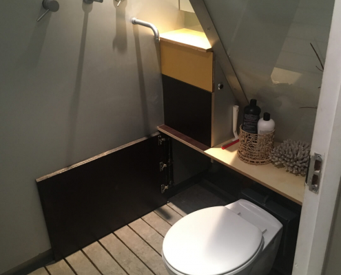 shower room created in london with a retractable toilet